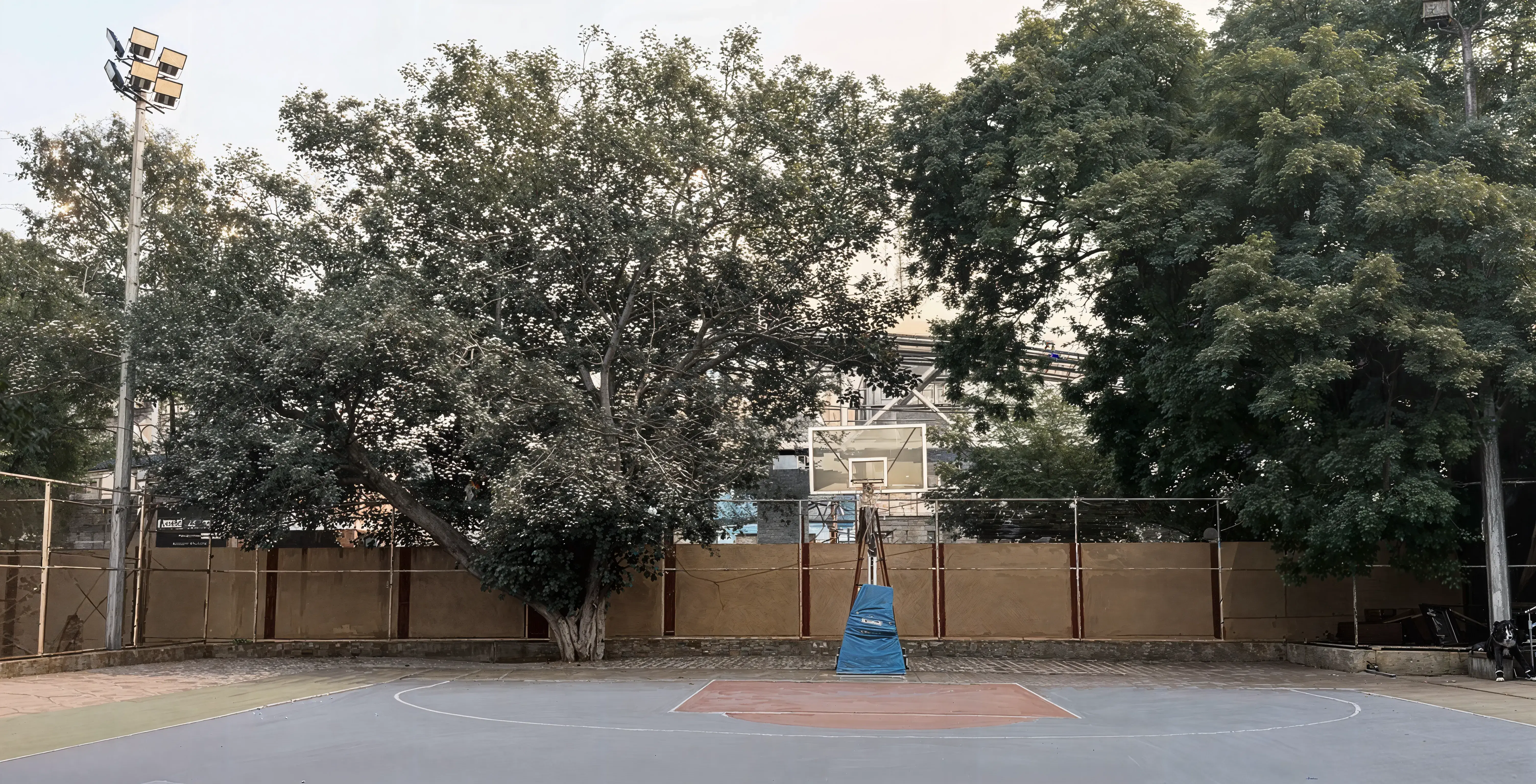 Sri Venkateswara Sports and Ground photo 1